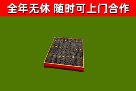 东安回收海参